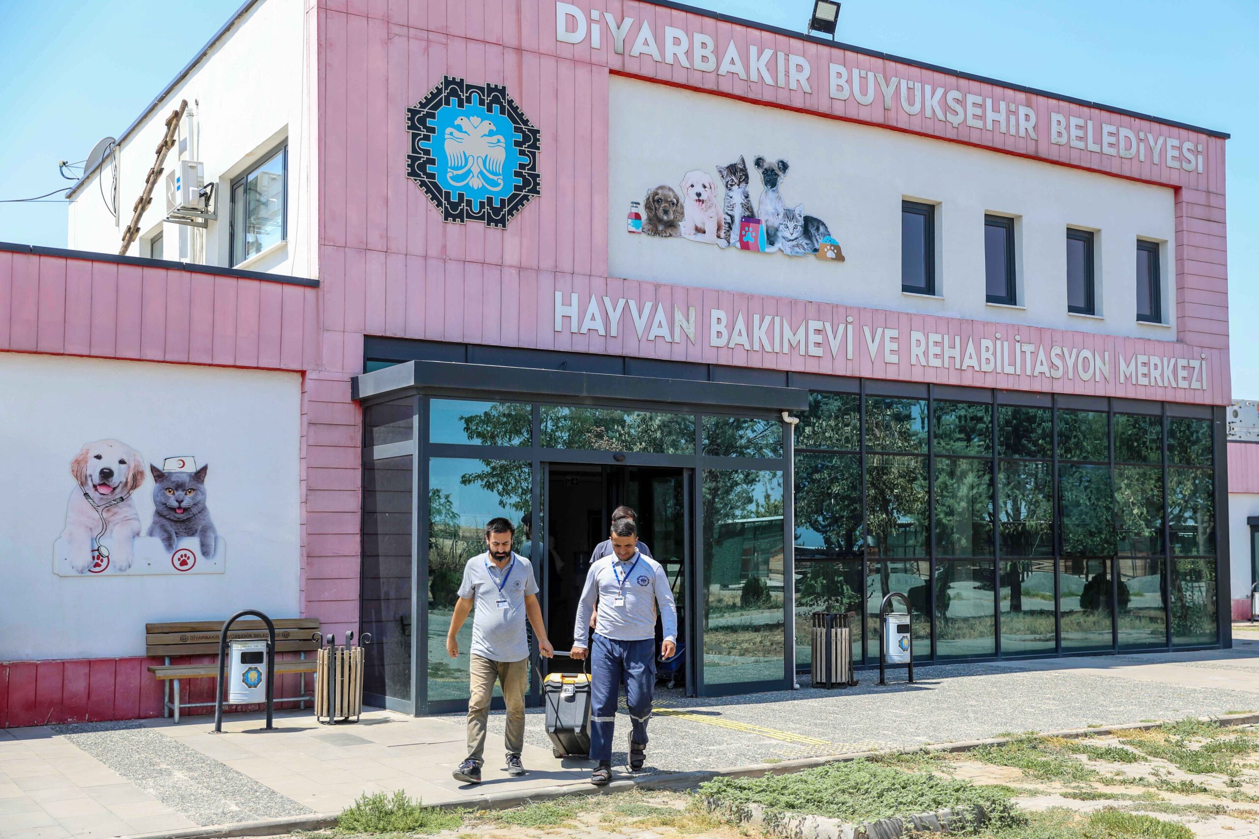 sokak hayvanları