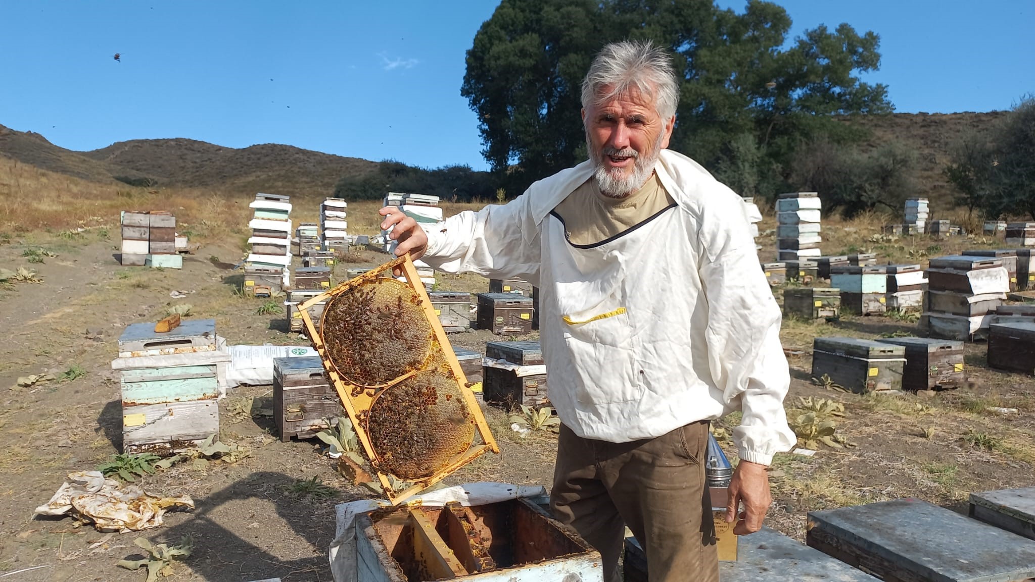 sahte bal Selim Alpaydın